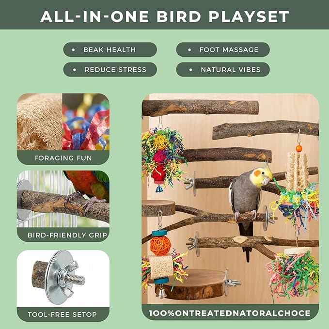 12 Pcs Natural Bird Perches and Shreddable Parakeet Toys, Essential Parrot Cage Accessories with 8 Wood Standsand 4 Shreddable Parakeet Toys, Foraging Shredder and Bird Accessories for Cages