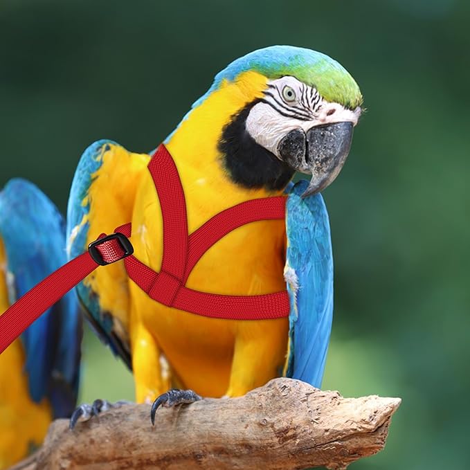 2 pcs Pet Parrot Bird Harness and Leash, Adjustable Training Design Anti-Bite, Outdoor Flying Training Rope Kit for Bird Parrots Fits Birds Chest Between46-76cm /18.11-29.92inch - XL (red)