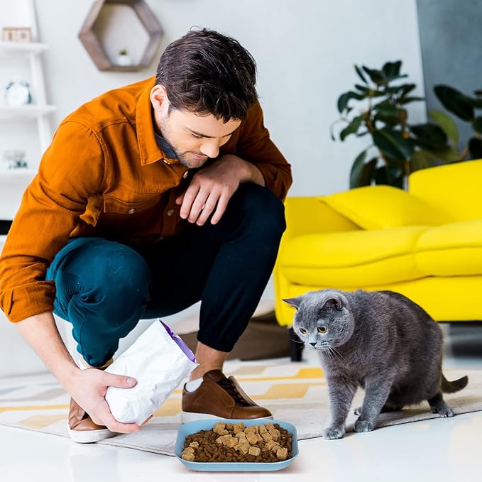 Whisker Fatigue Cat Bowls, 6 Inch Shallow Cat Food Bowl, Wide Pet Dishes for Indoor Cats Kittens and Short Legged Cats (4Pcs)