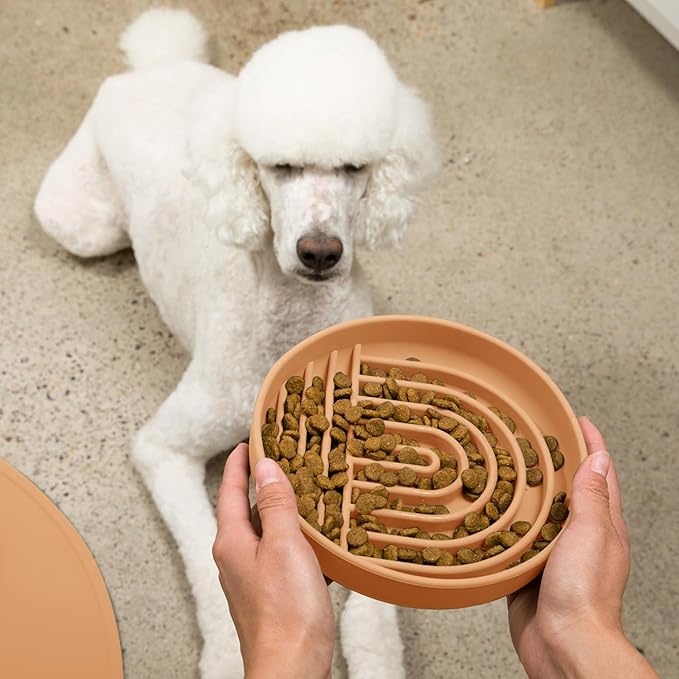 Should We Go? Slow Feeder for Dogs & Puppies, The Slowdown Bowl Silicone Slow Eating, Lick Mat Design, Reduces Gulping, Fits 2.5 Cups, 9.5” Across x 1.5” Tall, Mealtime Challenge, Large-Terracotta