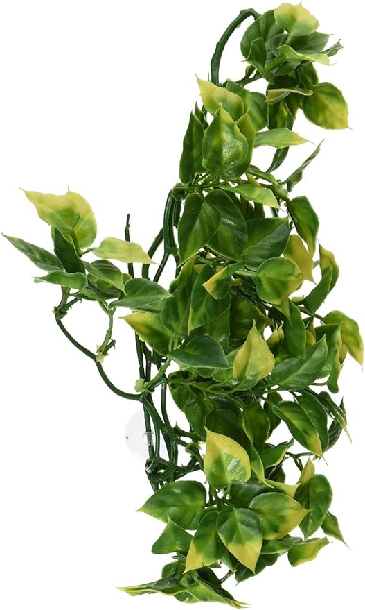 Hagen Exo Terra Plastic Terrarium Plant, Medium, Amapallo