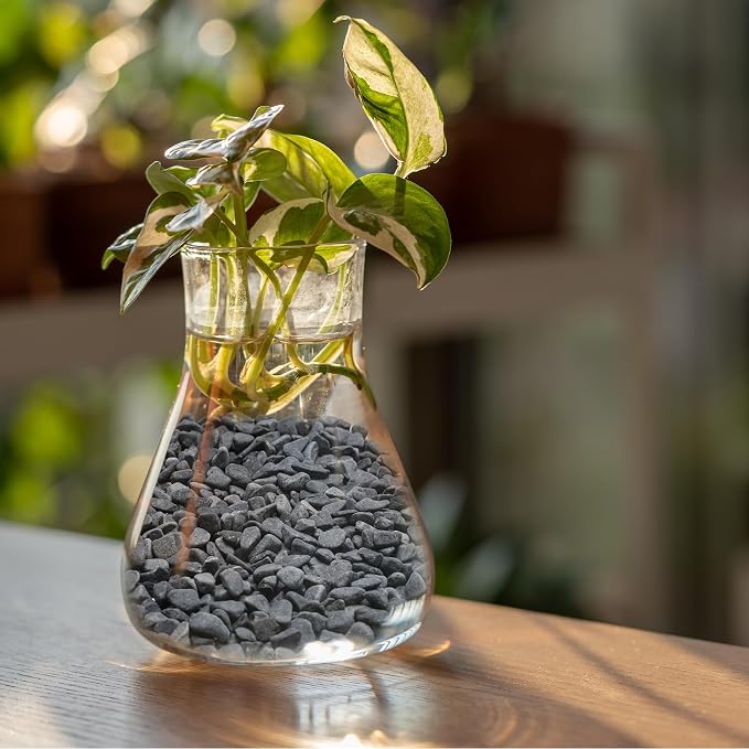 Mr. Fireglass Natural Decorative Gray Bean Pebbles, 1/5" Gravel Size River Rocks for Plants, Garden, Landscaping, Aquariums and Outdoor Decor (5-lb Bag)