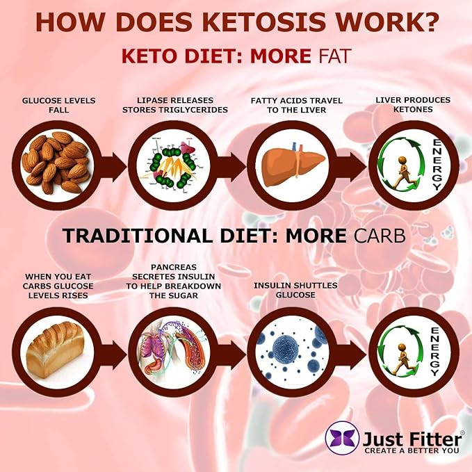 Just Fitter Ketone Test Strips - Accurate Keto Test Strips for Ketosis Testing - Instant 15 Second Results for Ketogenic Diet