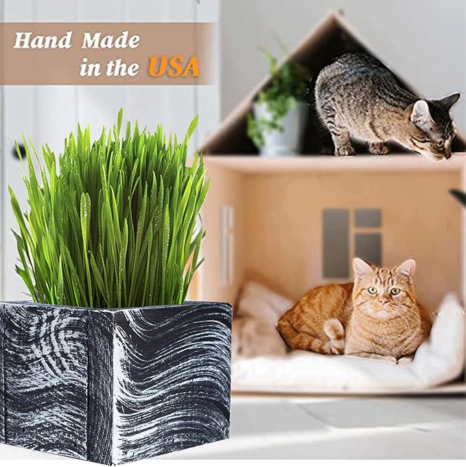 Cat Grass for Indoor Cats - Christmas Organic Cat Grass Kit: 4.25" Square Planter with Organic Seeds, Soil Pucks, Hand Made in the USA (Green Gold)