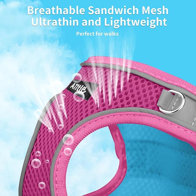 AIITLE Easy Walk Dog Harness and Leash Set - Pet Supply No Pull, Step in Adjustable Dog Harness with Padded Vest, Dog Harness No Choke Over, Easy to Put on Medium Dogs Hot Pink L