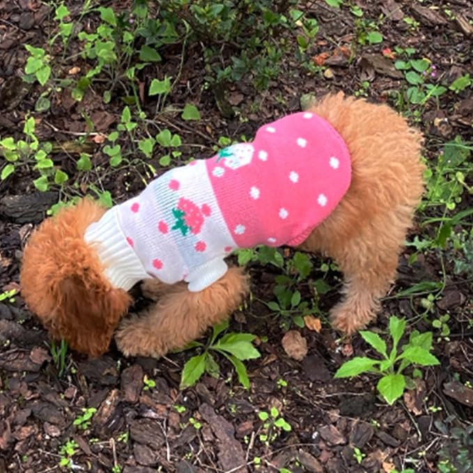 CHBORCHICEN Pet Dog Sweaters Classic Knitwear Turtleneck Winter Warm Puppy Clothing Cute Strawberry and Heart Doggie Sweater (Pink, XX-Small)
