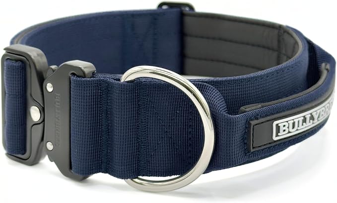 Heavy Duty Dog Collar, Tactical Dog Collar, Dog Collar for Large Dogs, Waterproof Dog Collar, Dog Training Collar, Quick-Release Metal Buckle, Adjustable Sizes – BULLYBREED (Navy Blue, Large)