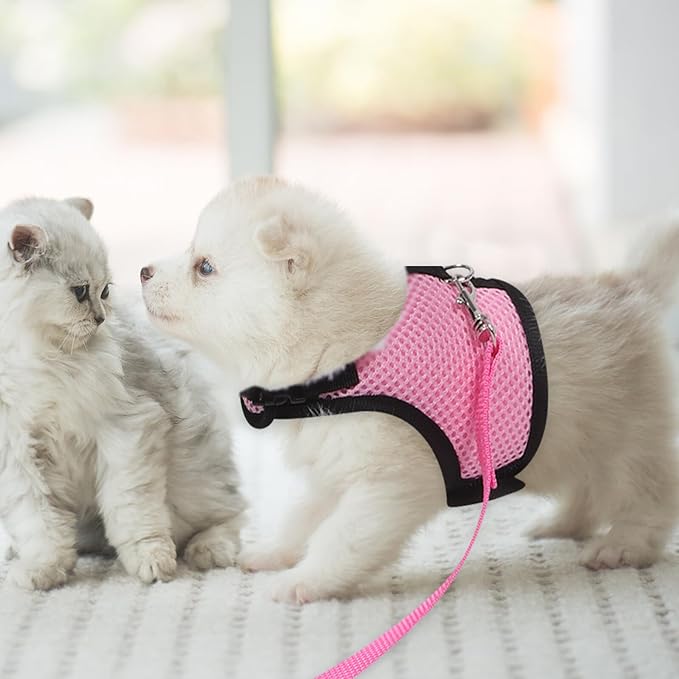 TEHAUX 2pcs Small Pet Harness and Leash Set for Walking Breathable Mesh Vest Adjustable for Rabbits, Guinea Pigs, Puppies, and Kittens Pink and Fruit Green Medium Size for Outdoor