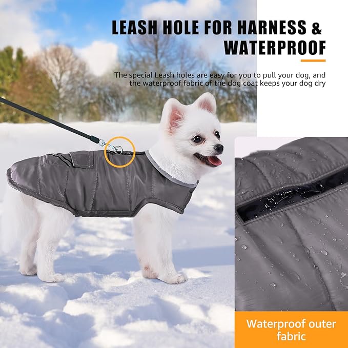 iBuddy Dog Winter Jacket for Small Dogs, Easy on Dog Fleece Snow Coat Velcro Waterproof Pet Puffer Clothes with Harness Hole Adjustable Reflective Quilted Pet Cold Weather Vest Wind-Poof for Boy Male