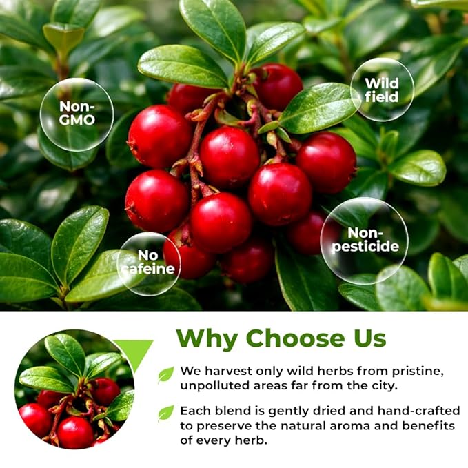 4 oz. Dried Cowberry Lingonberry Leaves Herbal Tea (Folium Vitis Idaea L.) - 113g Cowberry Leaf Herb Tea Hojas De Arándano Rojo (Arándano)