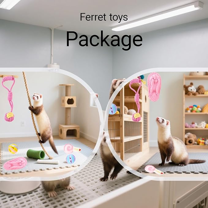 13 Pack Ferret Toys Set, Colorful Chew Teething Rope Squeaky Interactive Sound Chewing Balls Exercise Scratch Toys for Ferrets Rat Small Animals (Multicolour)