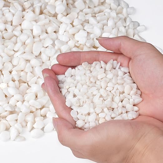 Pulovin 2.5 lbs White Aquarium Gravel, 1/5 Inch White Rocks for Plants, Small Pebbles for Vases, Succulents, Bamboo, Natural Decorative Pebbles for Plants Drainage, Cactus, Crafts