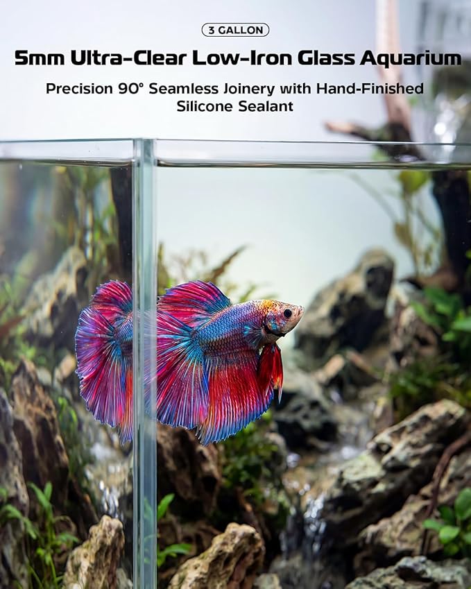 Glass Fish Tank Kit, 3 Gallon Betta Fish Tank Aquarium Starter Kit with Filter, Lights, Lid, for Betta, Goldfish, Small Fish or shrimg，Clear