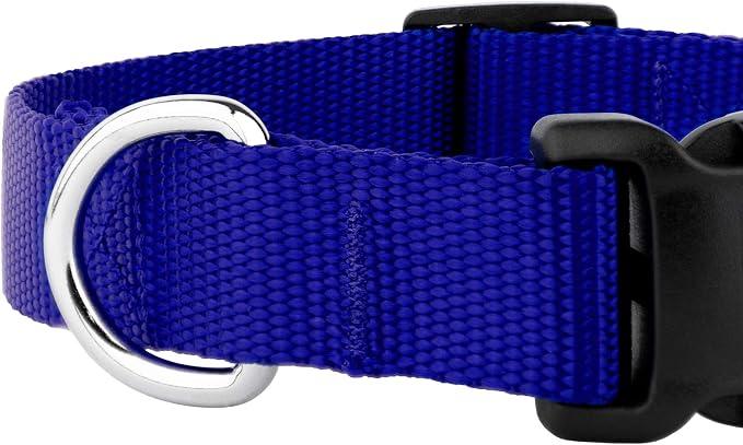 Country Brook Petz - Everyday Nylon Dog Collar and Leash - 10+ Cool Colors (1 Inch, Extra Large, Bright Royal Blue)