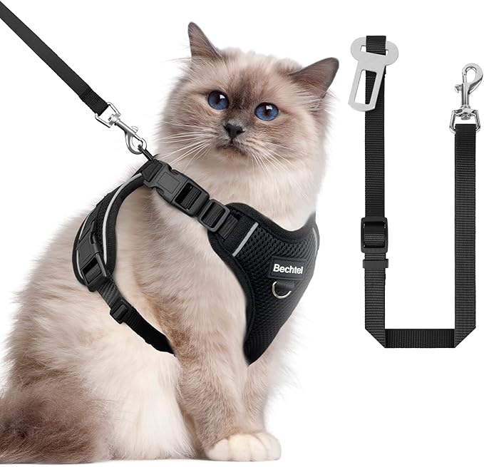 Cat Harness and Leash for Walking, The Upgrade Can be Adjusted in Four Directions and Breathable Cat Harness for Anti Escape that can be Fitted and Positioned, Reflective Strips Harness, Black, M
