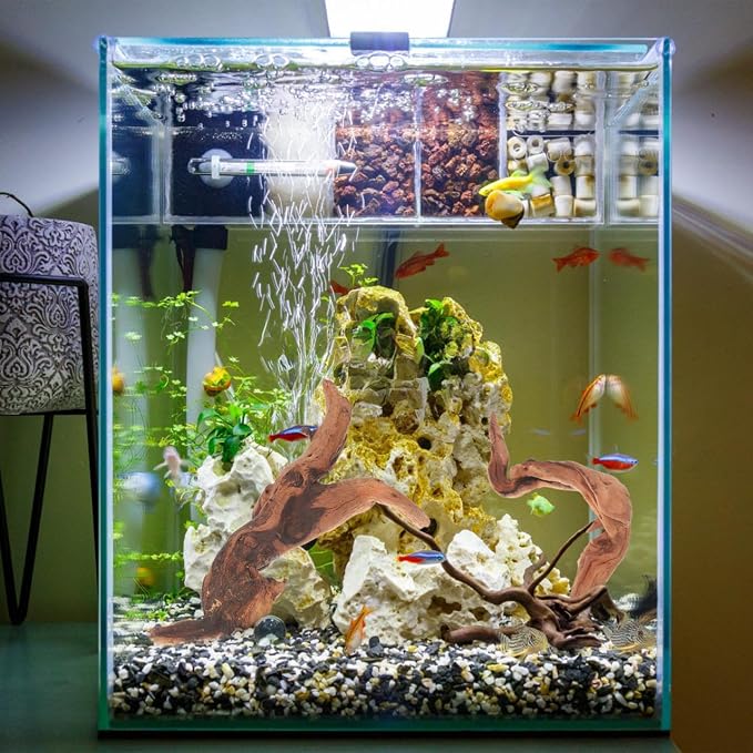 Toddmomy Aquarium Driftwood 4 Pc Set Fish Tank Decorations for Freshwater Aquascaping Small Aquarium Decor Natural Wood for 7.48 X 3.54 X 3.14 in