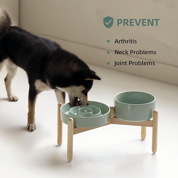 Havniva Ceramic Raised Slow Feeder Dog Bowl Set, Elevated 7.3inch Bowl and 8.2inch Puzzle Slow Dish with Wooden Stand for Medium and Large Dog, Anti-Gulping (2X Light Green+ Stand)