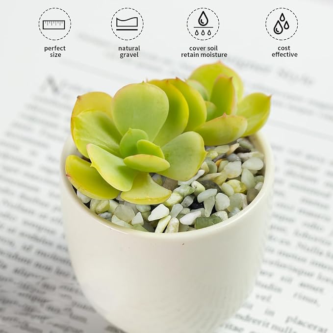 FANTIAN 2 lbs Jade Rocks for Plants Indoor, 1/4 inch Small Pebbles for Plants, Decorative Rocks for Succulents Cactus Vases Landscaping Drainage and Outdoor Garden Rocks
