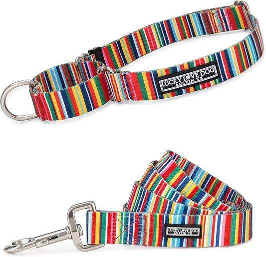Lucky Love Dog Martingale Dog Collar & Leash - Adjustable, No-Slip, Durable, Comfortable, Soft Webbing, & Stylish Patterned Collar & Leash Set for Male and Female Dogs - Hippie Combo, Medium