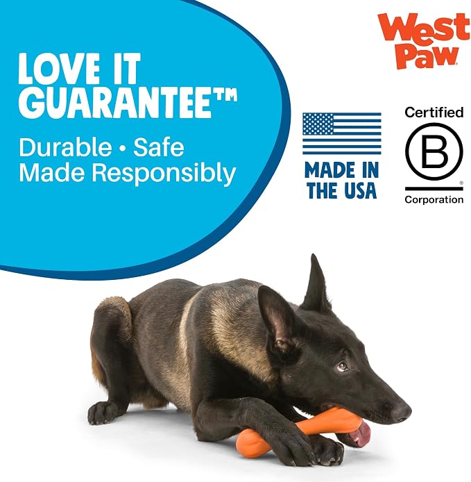 WEST PAW Zogoflex Hurley Dog Bone Chew Toy – Floatable Pet Toys for Aggressive Chewers, Catch, Fetch – Bright-Colored Bones for Dogs – Recyclable, Dishwasher-Safe, Non-Toxic, Large, Granny Smith