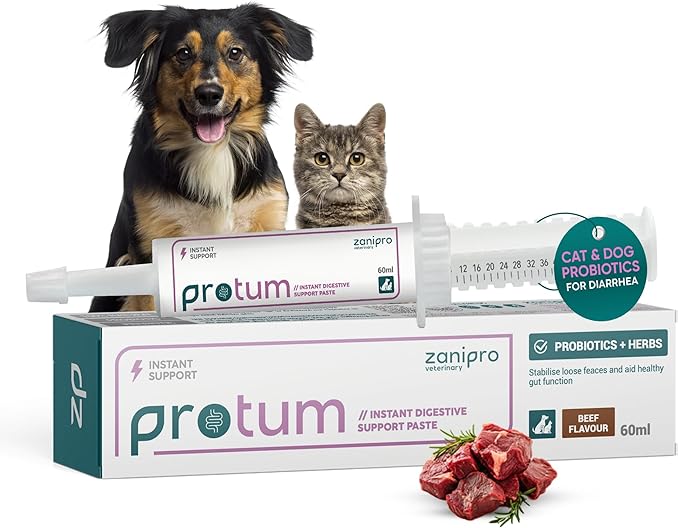 Dog Diarrhea Treatment, Fast Acting Upset Stomach Relief, Prebiotic & Probiotic for Dogs & Cats, Stop Loose Stools, Tasty Beef Flavour 60cc