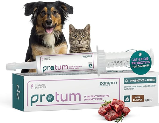 Dog Diarrhea Treatment, Fast Acting Upset Stomach Relief, Prebiotic & Probiotic for Dogs & Cats, Stop Loose Stools, Tasty Beef Flavour 60cc