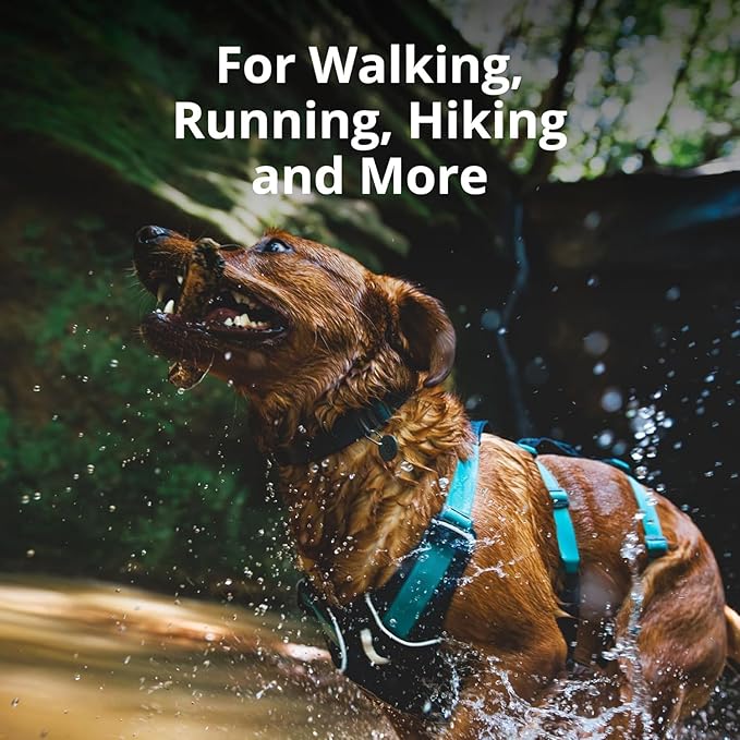 Ruffwear, Flagline Dog Harness, Lightweight and Reflective, No Pull Dog Lift Harness for Hiking, Running and Everyday Use, Alpenglow Pink, X-Small