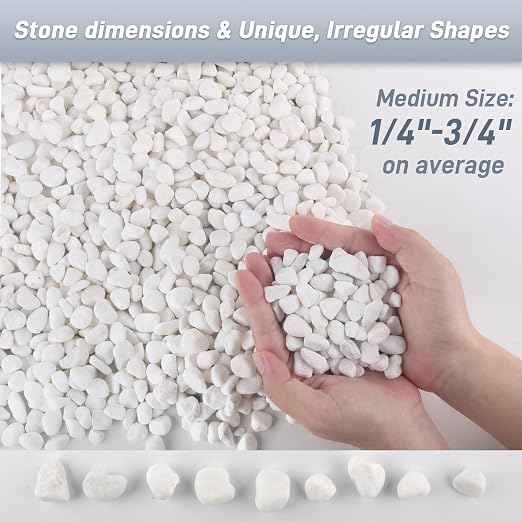 Mulctun 12Lb White Rocks for Plants, 1/4"-3/4" White Pebbles, Decorative Stones for Vases, Small Aquarium Gravel for Fish Tank Garden Rocks for Potted Plants & Home Decor
