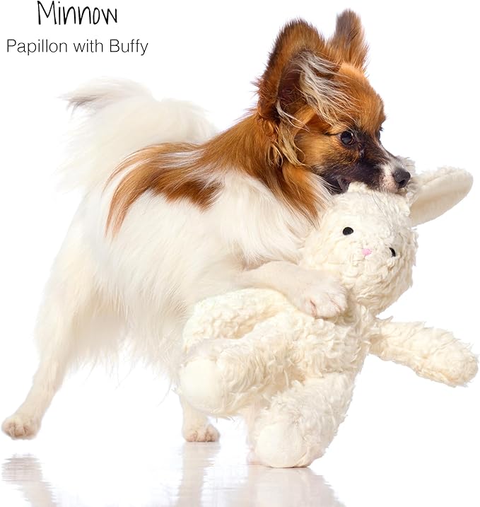 Pet Passion Plush Durable Cotton Dog Toys with Coconut Fill for All Pet Breeds, Bunny, One Size