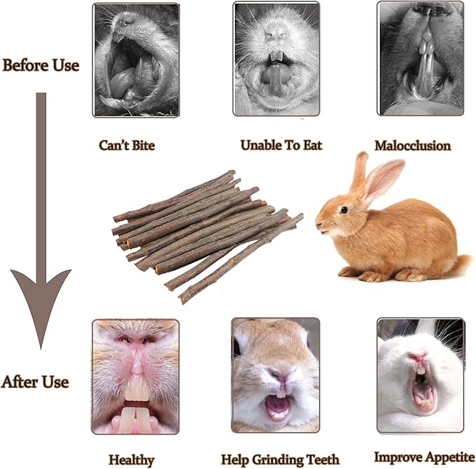 200g Apple Sticks for Rabbits, Molar Apple Wood Treats Chew Sticks Toys for Chinchillas Guinea Pig Hamster Gerbil Parrot Bunny Small Animals