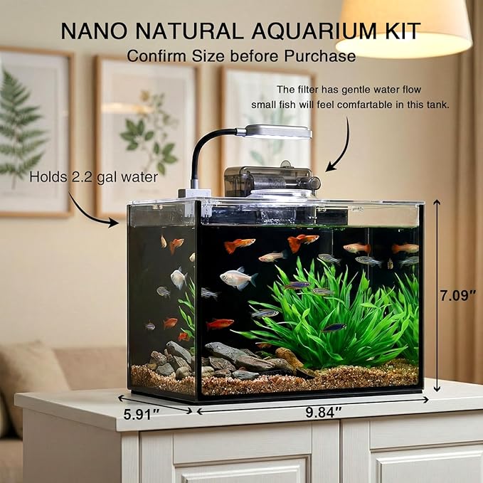 2 Gallon Betta Fish Tank, Small Aquarium Kit,Glass Small Fish Tank,Betta Fish Tank with a lid and Light and Filter, Small Transparent Glass Fish Tank with Light and Filter (Black Glass Background)