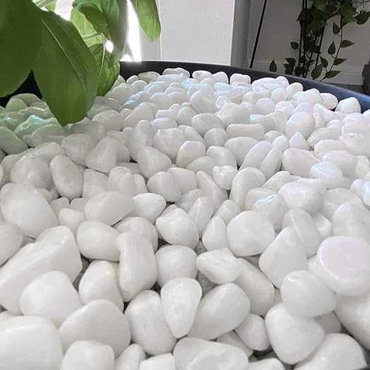 White Pebbles for Indoor Plants 3.5 LB Small River Rocks 1"-1.5" Polished Decorative Stones Smooth Aquarium Gravel for Fish Tank Vases Planters Outdoor Landscaping Garden (56oz)