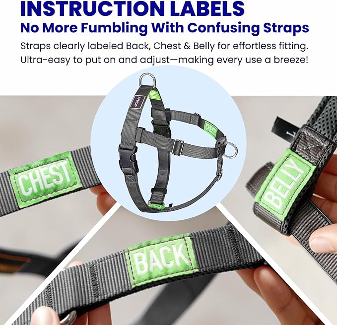 Freedom No Pull Dog Harness, Front Clip, Easy Walk, Dog Friendly with 2 Stainless D-Rings, Sewn-in Instructions Tags for Easy Use, for Large Dogs Weight 60-80 lbs (Black, L)