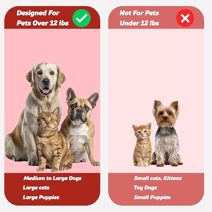 Pet Toothbrush for Dogs, Cats with Soft Bristles - Easy Teeth Cleaning & Dental Care, Non Slip Dual Head Dog Toothbrush for Medium & Large Pets, Toothpaste Not Included (Pack of 1(Red))