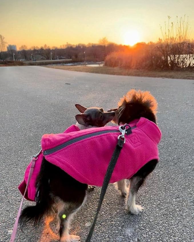 Gooby Zip Up Fleece Dog Sweater - Red, X-Small - Warm Pullover Fleece Step-in Dog Jacket with Dual D Ring Leash - Winter Small Dog Sweater - Dog Clothes for Small Dogs Boy and Medium Dogs