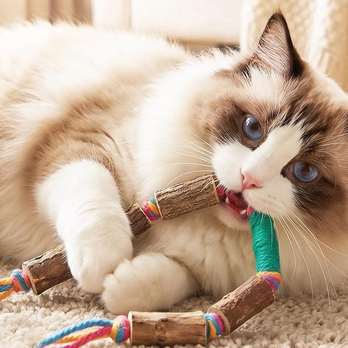 IUHKBH Silvervine Cat Toy, 2 Packs Colorful Chew Ropes with Silvervine Sticks and Refillable Natural Catnip Bag for Teeth Cleaning Safe Interactive Toy for Indoor Cat Kitten