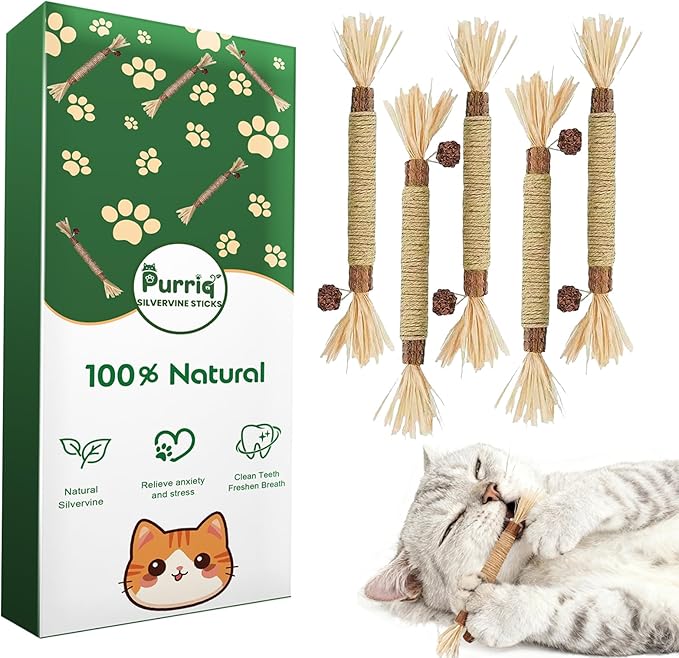 Natural Silvervine Dental Sticks, Natural Silvervine Sticks for Cats, Cleaning Dental, Scratch and Bite Resistant, Calm Cat Boring, for Indoor Kitty Interactive Kitten Chew Playthings (5Pcs)