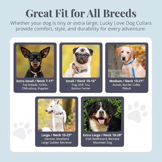 Lucky Love Dog - Adjustable Dog Collar with Easy Click Buckle for Large Ones, Durable, & Comfortable for Male & Female Dogs, Pet Collar for Puppies & Adult Dogs - Fritz, Large