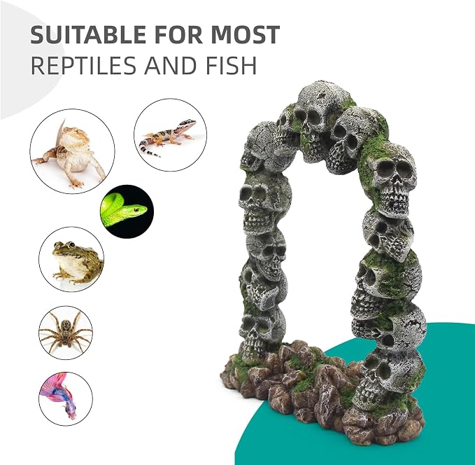 relaqcc Aquarium Skull Cave Rocks, Reptile Tank Accessories, Fish Tank Decorations for Amphibians, Betta Fish, Shrimp, Hermit Crab, Leopard Gecko