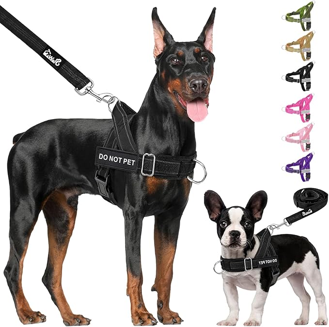 Lukovee No Pull Dog Harness & Leash Set - Heavy Duty Dog Vest Harness with Soft Padded for Medium Large Dogs, Adjustable Reflective Tactical Pet Harness for Easy Walk and Training (M, Black)