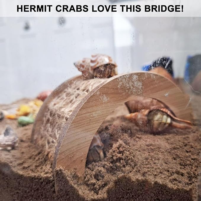 Hermit Crab Climbing Arch Bridge Wooden and Rope Hermit Crab Climbing Toys Hermit Crab Supplies Small Animal Cage Accessories for Hamster Lizard Chameleon Reptile