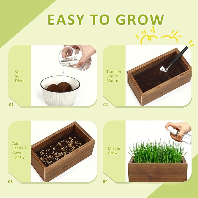 Cat Grass Kit for Indoor Cats with Wooden Planter - 5 Pack Cat Grass & 5 Coconut Soil, Complete Planting Tools, Water Sprayer, Scissors, Bonus Cat Gifts - Natural Wheat Grass for Hairball Control