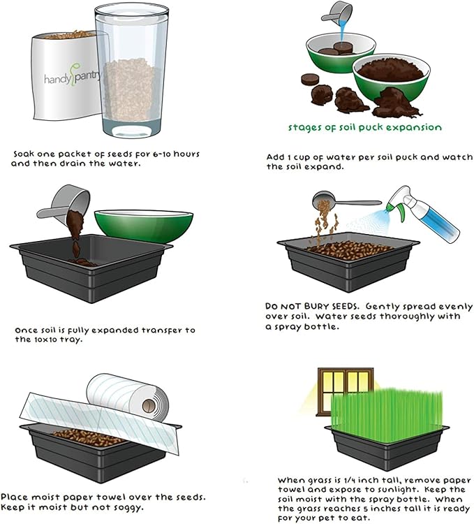 Handy Pantry Organic Cat Grass Kit - Includes 1 Tray, 1 Soil Puck, and Non GMO Wheatgrass Seed - A Healthy Treat for Cats, Dogs, Rabbits, and More