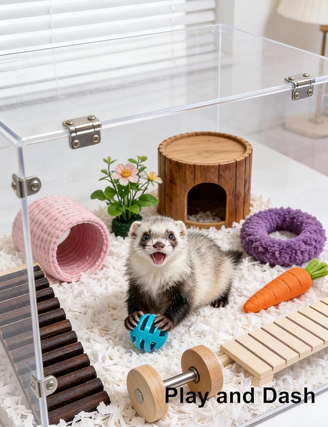 10 Pack Ferret Ball Toys Ferrets, Bell Inside, Durable PP Material, Interactive Play for Dental Health & Stimulation (1.5'' - 2.2'')