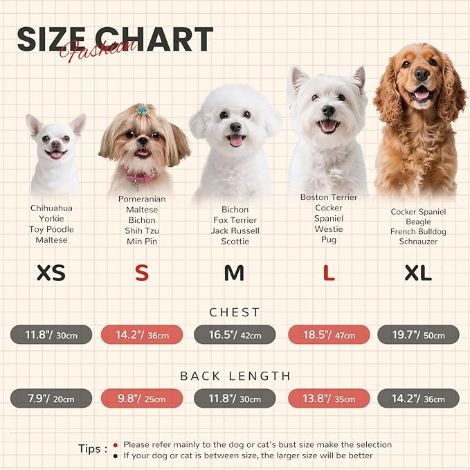 Small Dog Sweater with Cute Pocket Decoration, Striped Soft Stretchable Warm Puppy Clothes for Small Dogs Cats, French Bulldog, Chihuahua for Winter