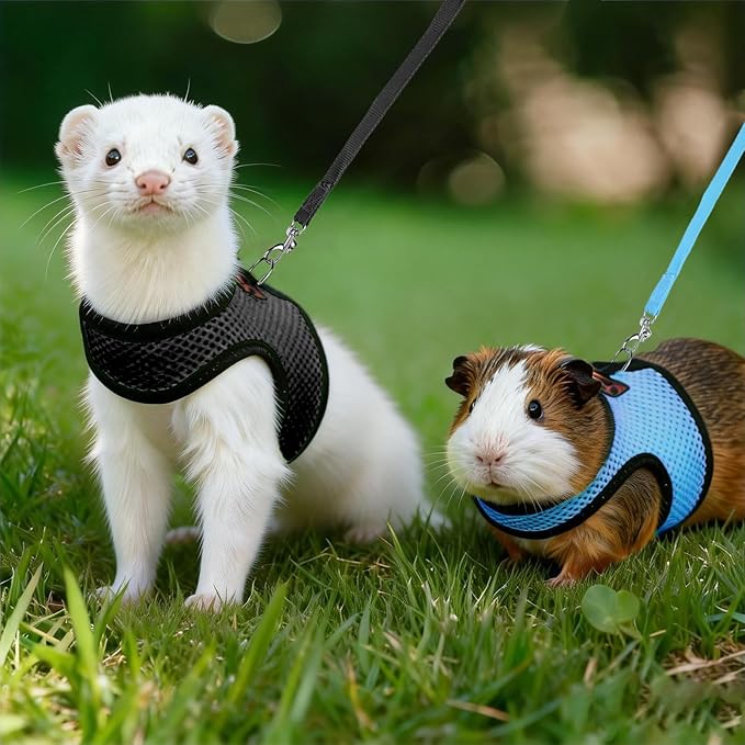 Rypet Small Animal Harness and Leash - Soft Mesh Pet Harness with Safe Bell, No Pull Comfort Padded Vest for Small Pet Black + Blue S