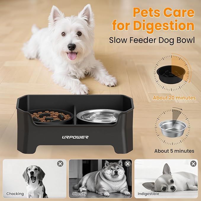 URPOWER 3-in-1 Elevated Dog Bowls - Mess Proof Double Deck 4 Height Adjustable Raised Stand with 2 Stainless Steel Food Bowls & Licking Plate for Small, Medium Dogs