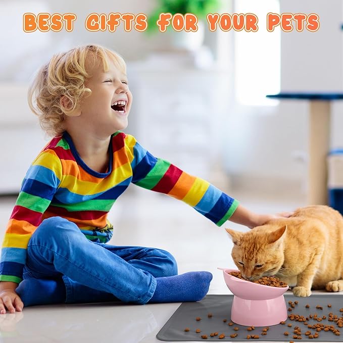 3 Pcs Elevated Cat Bowls 15° Raised Cat Bowl with Silicone Mat Whisker Friendly Anti Vomiting Cats Elevated Food and Water Bowls for Indoor Cats Kittens