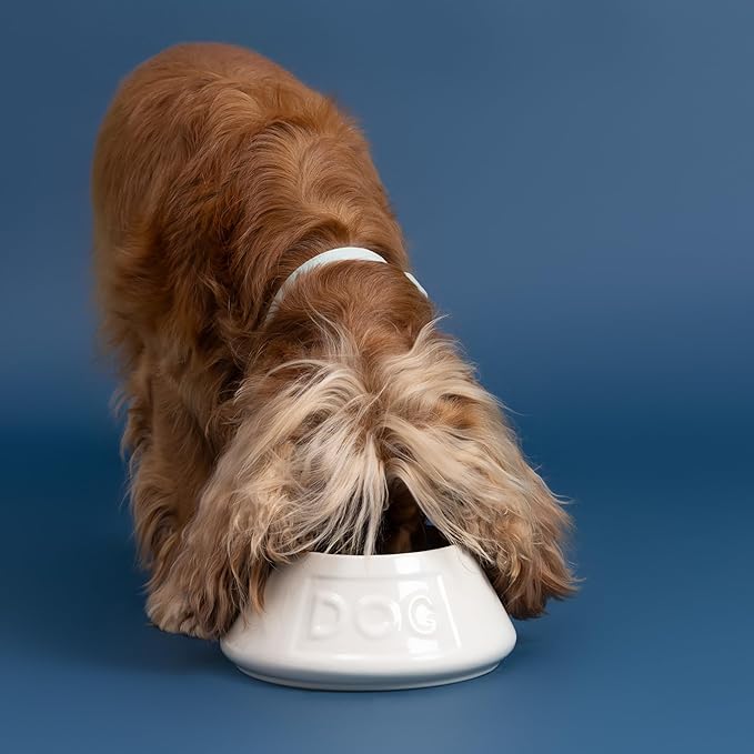 Mason Cash: Non-Tip Dog Bowl - Grey - 8.3", 54oz - Durable Ceramic Food & Water Angled Dish, Microwave-Dishwasher Safe, Pet Meal Feeding & Hydration