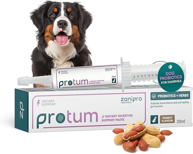Dog Diarrhea Treatment, Fast Acting Upset Stomach Relief, Prebiotic & Probiotic for Dogs & Cats, Stop Loose Stools, Tasty Peanut Flavour 30cc